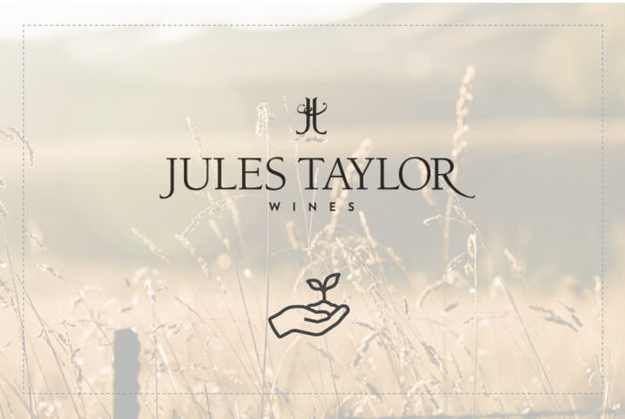 SUSTAINABILITY AT JULES TAYLOR WINES