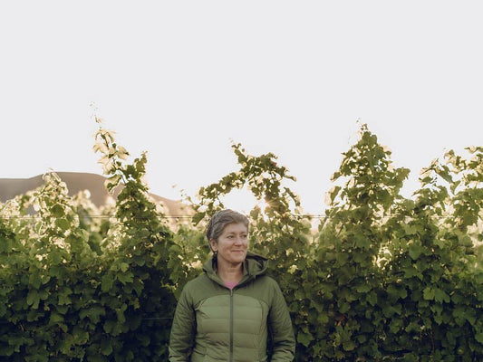 Altimarloch Vineyard - Jules Taylor Wines