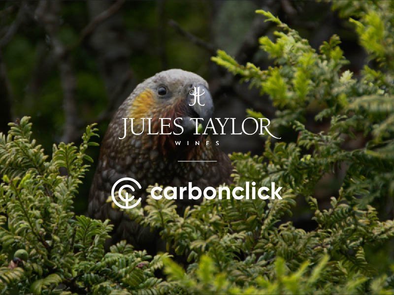 CARBON  OFFSET YOUR WINE - Jules Taylor Wines