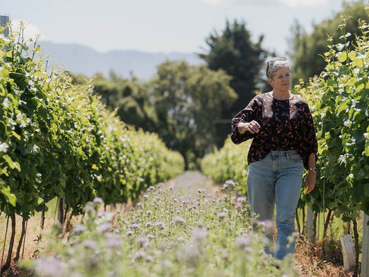Sustainability at Jules Taylor Wines - Jules Taylor Wines