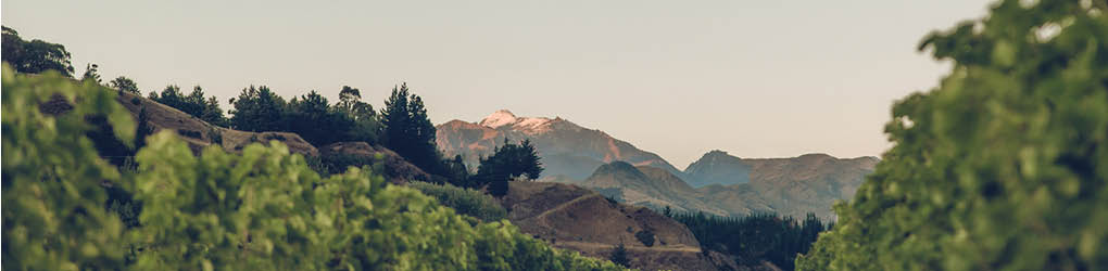 Altimarloch.jpg__PID:1fc54d5f-6cb9-45b0-b400-21d4588a47b1