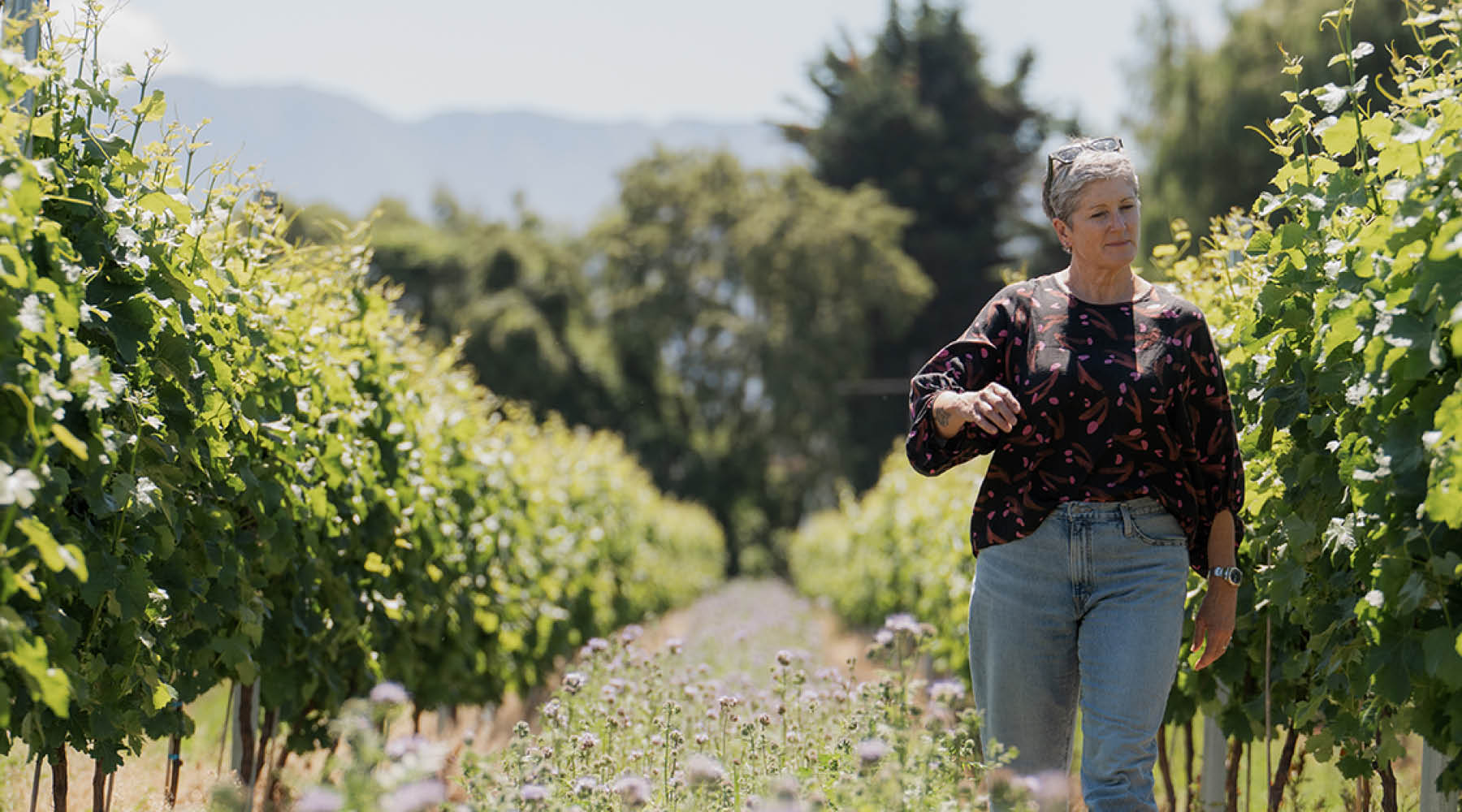 CULTIVATED IN NEW ZEALAND
