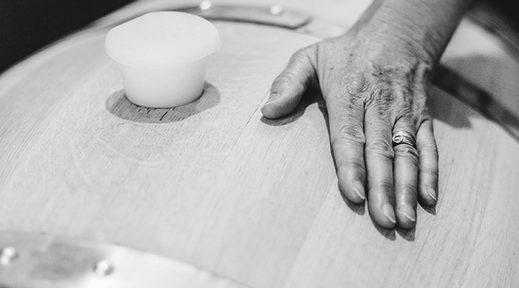 SUSTAINABILITY IN THE WINERY