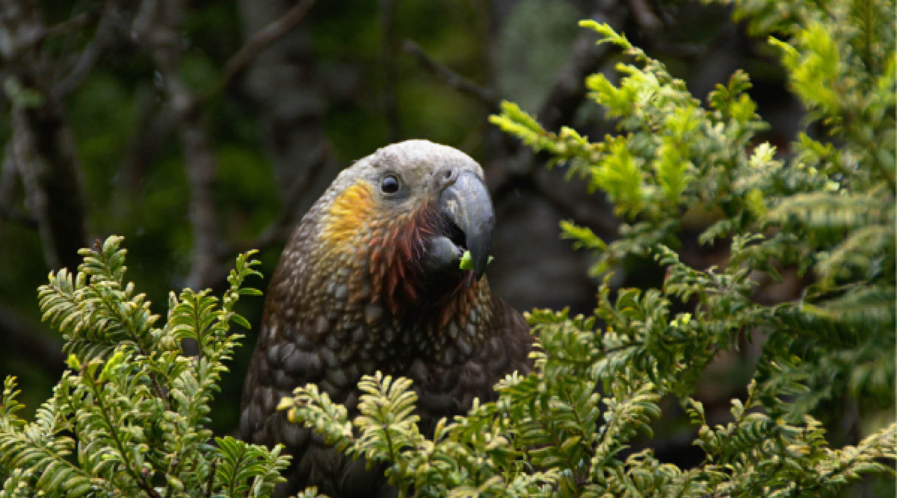 SUSTAINABILITY WITH OUR PARTNERS