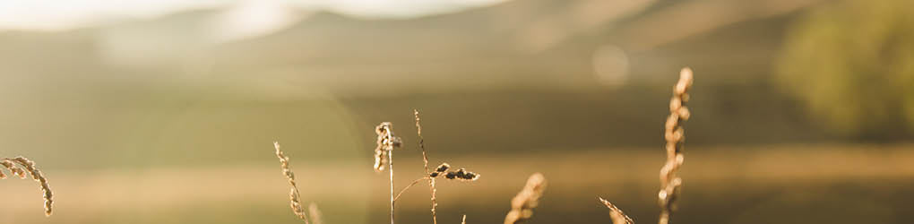 Jan header.jpg__PID:2ca0f742-9c87-442d-8829-bd8a0a0d7212