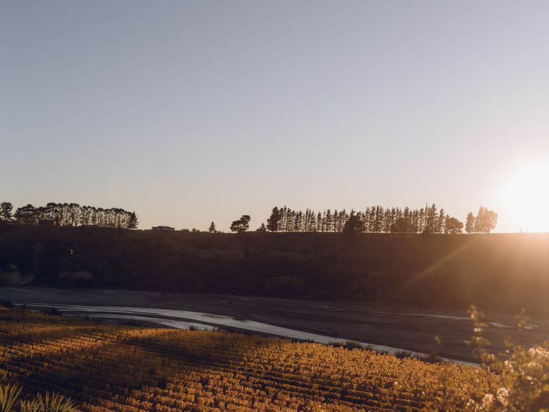VINEYARDS